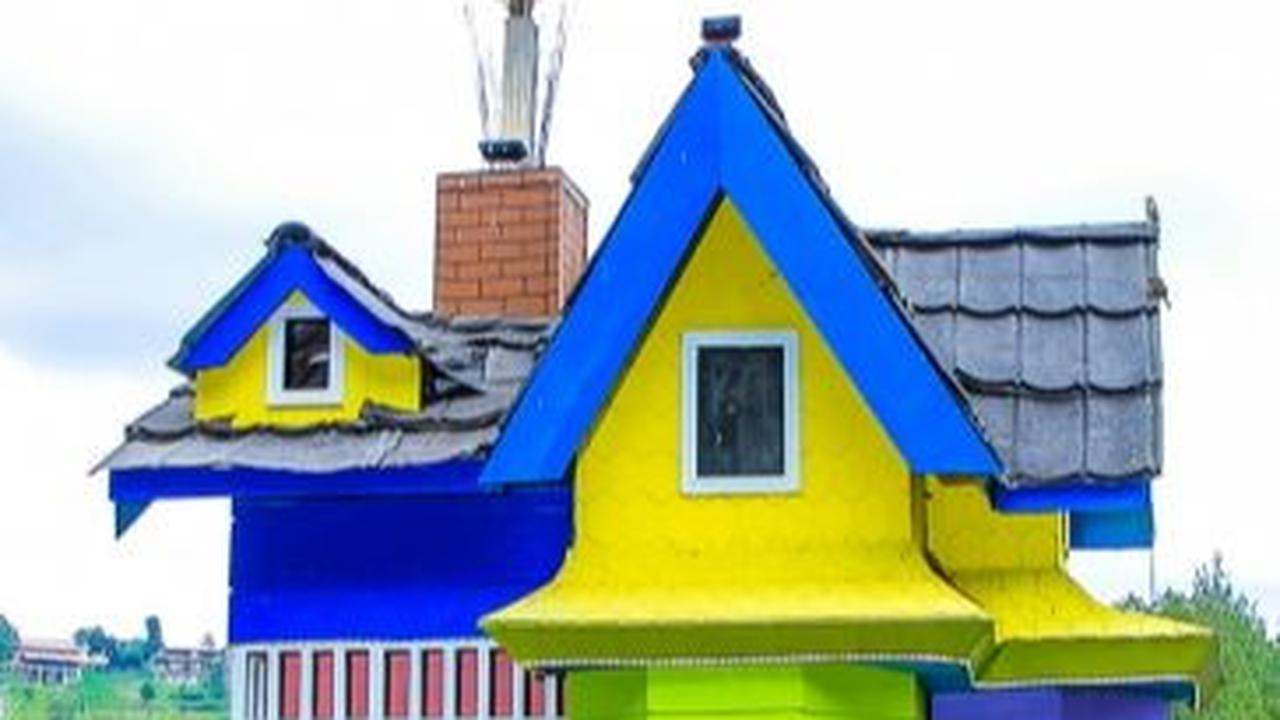 <b>Dago Dream Park</b>