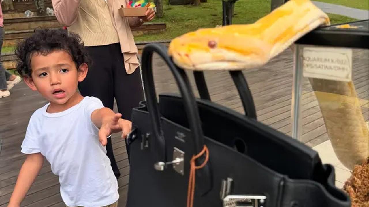 Foto-Foto Jessica Iskandar dan Vincent Verhaag Ajak Anak ke Kebun Binatang, Sederhana Tapi Bikin Bahagia