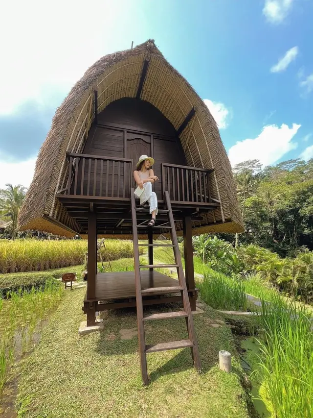 Honeymoon Enzy Storia dan Molen Kasetra