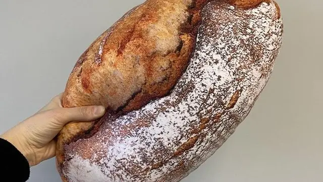 Rasa Kantuk Jadi Hilang, 6 Bentuk Bantal Mirip Makanan Ini Malah Bikin Lapar