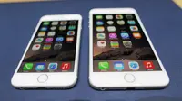 iPhone 6 vs iPhone 6 Plus (Foto: The Next Web)