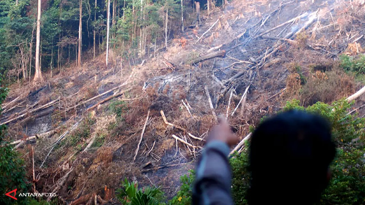 rambah-hutan130404b.jpg