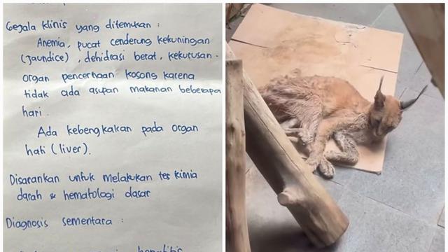 Unggahan Rachel Vennya