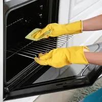 Membersihkan oven dengan bahan yang ada di rumah, mudah dibuat dan dapat diandalkan/copyright shutterstock/Pixel-Shot