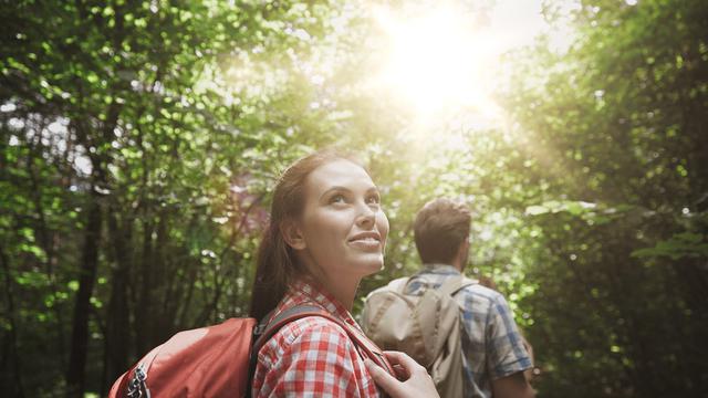 Ilustrasi berpetualang