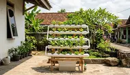8 Cara Membuat Kebun Hidroponik Hemat Biaya Tanpa Pompa Air, Cocok untuk Pemula