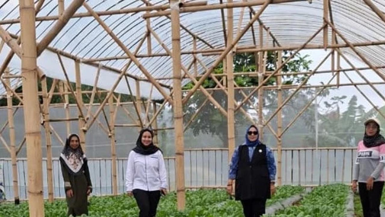 Onih Suryati, nasabah PNM Mekaar sekaligus BRILink Agen