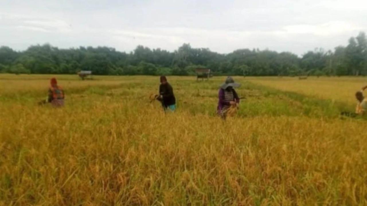 APUDSI Gelar Rakernas 2026, Tegaskan Desa sebagai Pilar Ketahanan Nasional