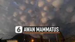 THUMBNAIL AWAN