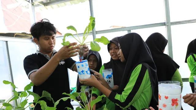 BRI Ajak Siswa SD Belajar Hidroponik di BRINita Padukuhan Mrican