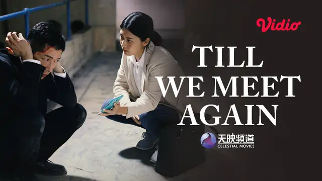 Film Mandarin Till We Meet Again