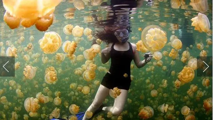 Simak! 10 Foto Alam Favorit di 2015 Versi NatGeo