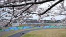 Pembalap Red Bull Racing, Max Verstappen terlihat melewati pohon sakura saat memacu mobilnya pada sesi latihan bebas pertama (FP1) F1 GP Jepang 2024 di Sirkuit Suzuka, Jepang, Jumat (05/04/2024). (AP Photo/Hiro Komae).