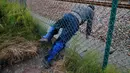 Seorang imigran merangkak melalui lubang pagar keamanan terminal Eurotunnel di Coquelles dekat Calais di Prancis, 29 Juli 2015. Ribuan imigran tersebut mencoba memasuki Terowongan Channel menuju Inggris melalui Prancis. (REUTERS/Pascal Rossignol)