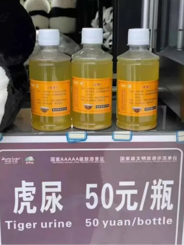 Kebun Binatang Jual Urin Harimau