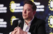 Elon Musk Bongkar Nama Pengusaha Jadi Dalang Dibalik Rencana Pembunuhan Donald Trump