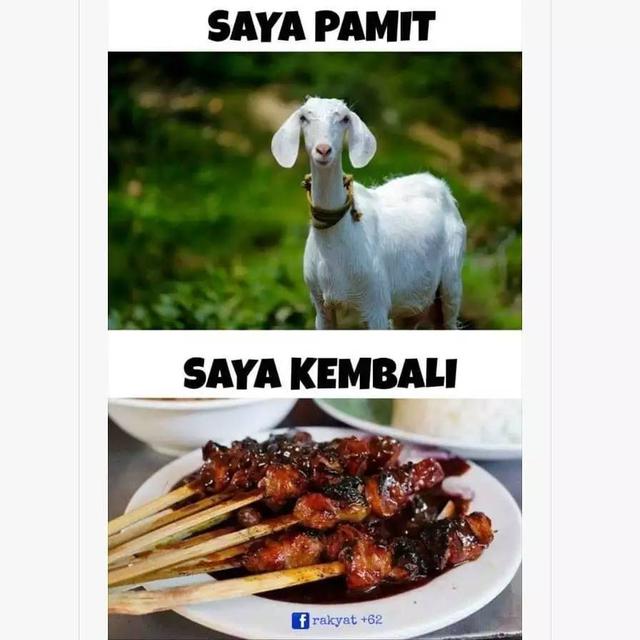 8 Meme Nyate Bareng Saat Hari Raya Idul Adha Ini Kocak