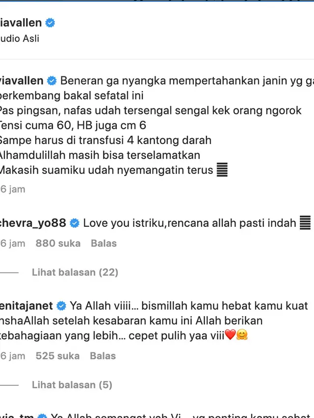 Unggahan Via Vallen. (Foto: Dok. Instagram @viavallen)