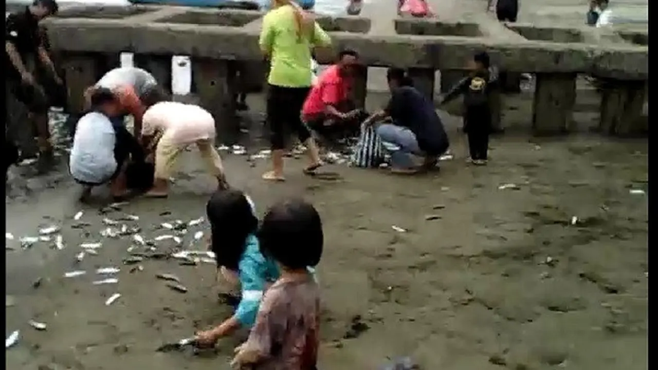 Warga tengah memungut ikan-ikan yang terdampar di Pantai Teluk Penyu Cilacap, Jawa Tengah (Jateng), Rabu (7/1/2020). (Grup Whatsapp)