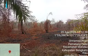 Pemilik Kebun Sawit di Riau Jadi Tersangka