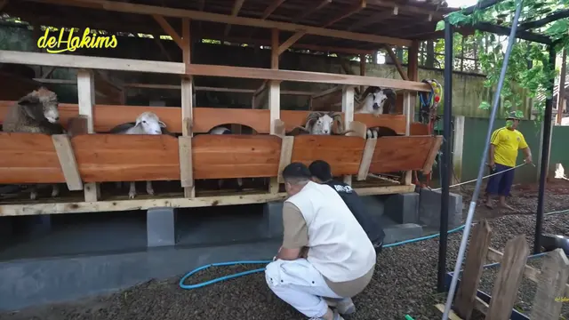 Potret Kandang Ayam dan Kambing di Rumah Irfan Hakim