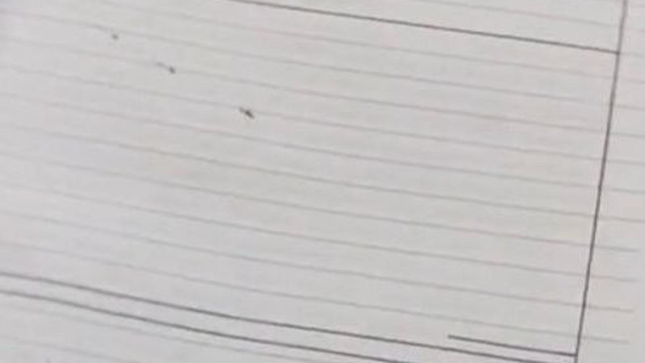 Viral Mahasiswa Tulis Tangan Tugas Kuliah Selama 3 Minggu dan Hilang dalam Sekejap, Ini Penyebabnya