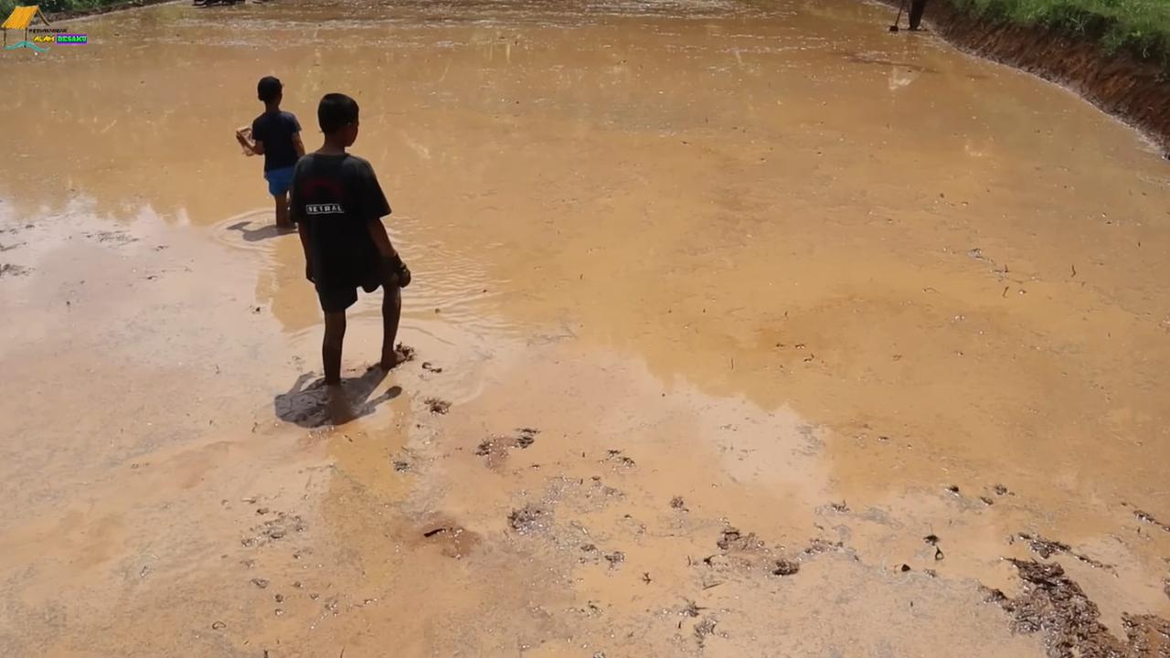 Mencari Belut di Jejak Roda Traktor