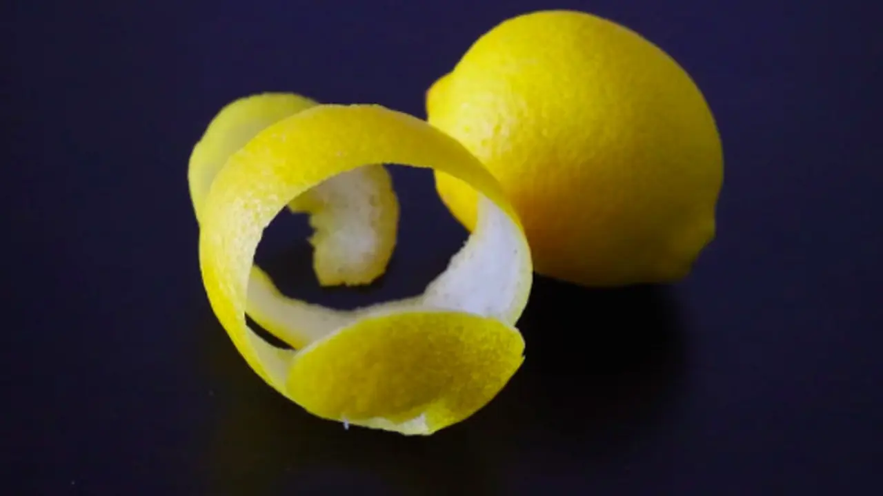 Ilustrasi Kulit Lemon
