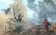 Manggala Agni Bangun 19 Embung, Perkuat Penanganan Karhutla Riau di Pelalawan dan Indragiri Hulu