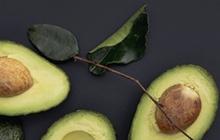 Resep Tradisional Rebusan Daun Alpukat untuk Tekanan Darah Normal