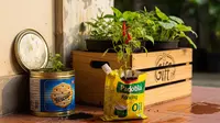 8 Inspirasi Recycle Barang Bekas Parcel Lebaran untuk Pot Tanaman, Kreatif dan Ramah Lingkungan