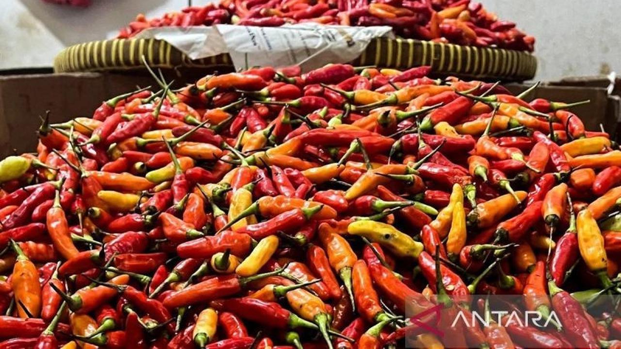 Kabar Gembira! Harga Pangan Turun: Beras Medium dan Cabai Rawit Merah Kompak Anjlok, Cek Rinciannya!