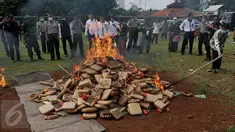 Petugas membakar kemasan ganja di Mapolsek Palmerah, Jakarta Barat, Senin (15/6/2015). Barang bukti yang dimusnahkan berupa 10.286 botol miras, 561 kg ganja, 1,4 kg sabu, 7.668 butir ekstasi, 1.000 butir psikotropika. (Liputan6.com/Johan Tallo)
