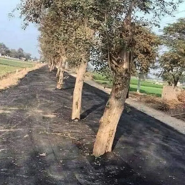 Penampakan Jalan Raya yang Paling Nyeleneh. (Sumber: Instagram/infotekniksipil)