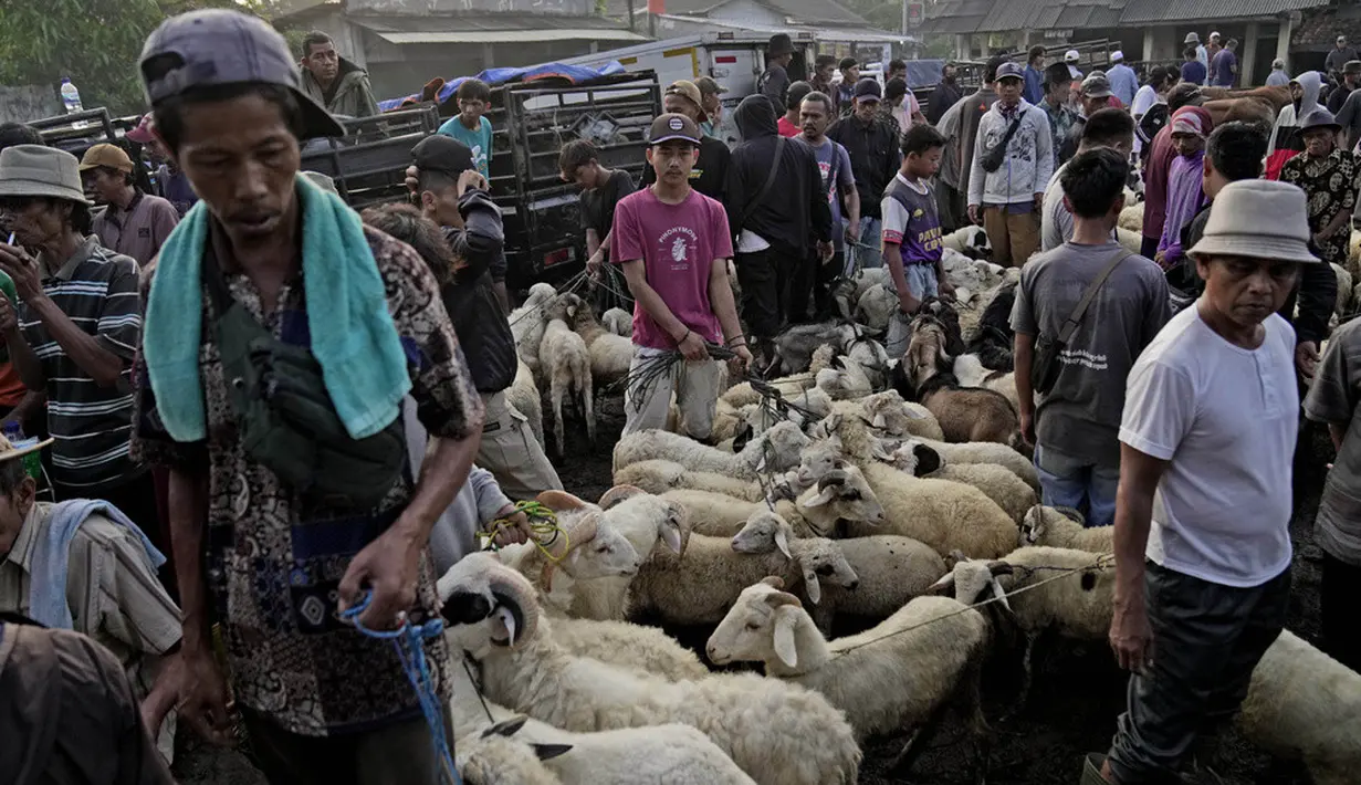 <p>Pasar Hewan Jonggol yang sudah beroperasi sejak 1969 mulai menggeliat menjelang pelaksanaan Hari Raya Idul Adha tahun ini. (AP Photo/Dita Alangkara)</p>