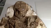 Arkeolog di Taiwan menemukan fosil seorang ibu yang menggendong bayinya di sebuah pemakaman kuno kawasan Taichung, Selasa (26/4). Kabarnya, fosil tersebut berusia sekitar 4.800 tahun, demikian disampaikan pejabat museum setempat. (REUTERS/via Reuters TV)
