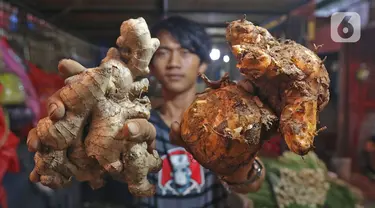 Pedagang menunjukkan jahe dan temulawak dagangannya di Pasar Induk Kramat Jati, Jakarta, Kamis (5/3/2020). Heboh virus corona Covid-19 mulai berdampak pada harga rampah-rempah seperti jahe merah dan Temulawak yang dipercaya dapat meningkatkan imun atau kekebalan tubuh. (Liputan6.com/Herman Zakharia)