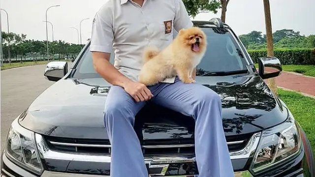 Hans Hosman Pemeran Haris Si Bos Galak di Mega Series Suara Hati Istri: Anjani