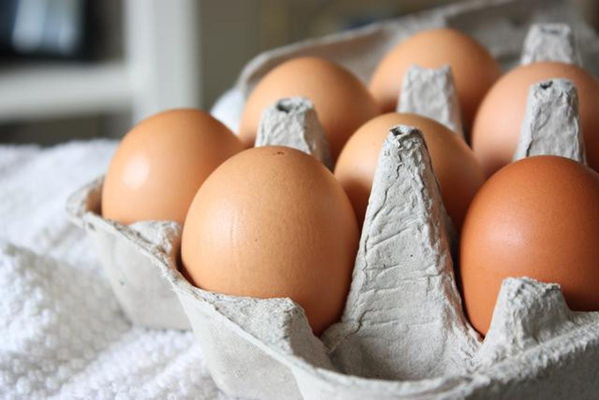 Cara Menambal Paku Longgar di Kayu dengan Telur Utuh, Bisa Jadi Solusi Darurat