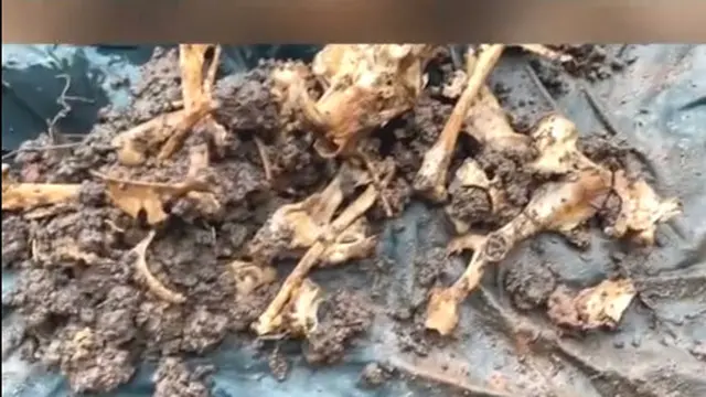 Temukan Buhul Santet