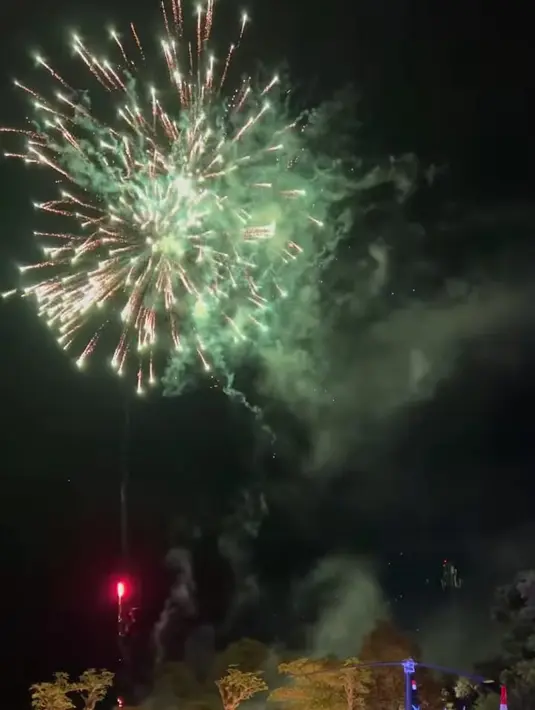 Ngunduh Mantu Vidi Aldiano dan Sheila Dara (Instagram/vidialdiano)