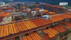 Fungsi tersembunyi ini membuat atap rumah di China ini terlihat berwarna-warni.