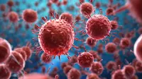 HIV adalah Virus yang Menyerang Sistem Kekebalan Tubuh