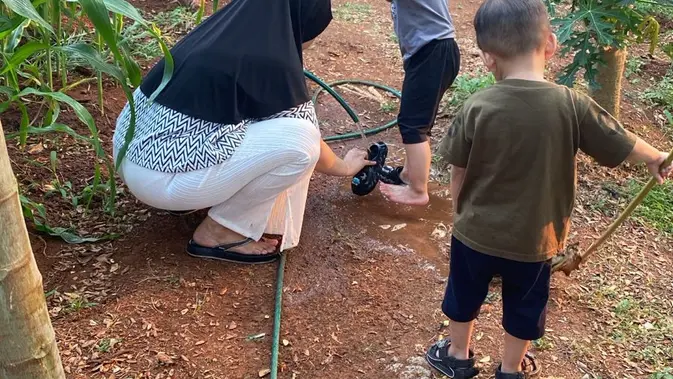Aksi berkebun Kelompok Wanita Tani di Tangsel, Banten