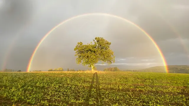Rainbow