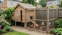 5 Model Kandang Ayam Multifungsi untuk Ketahanan Pangan Rumah yang Praktis dan Efisien