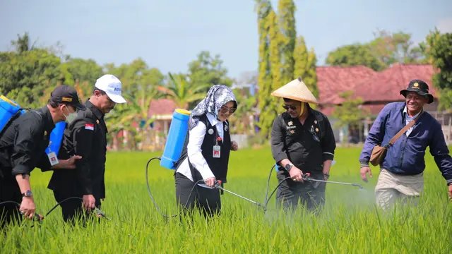 Bantu Petani Klaten Hadapi Hama WBC, Mental SYL Salurkan Bantuan Pestisida Ramah Lingkungan