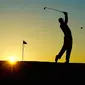 Ilustrasi bermain golf (pixabay)