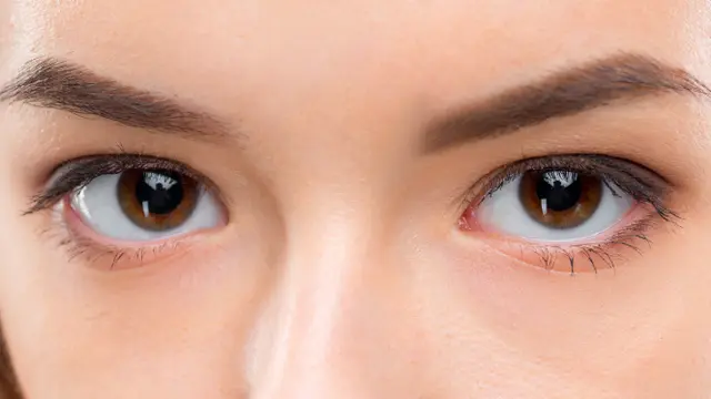 Glaukoma Mengintai Penglihatan dan Kualitas Hidup? Waspadai Si Pencuri Penglihatan yang Mengancam Kebutaan! (Foto dok : Freepik/master1305).