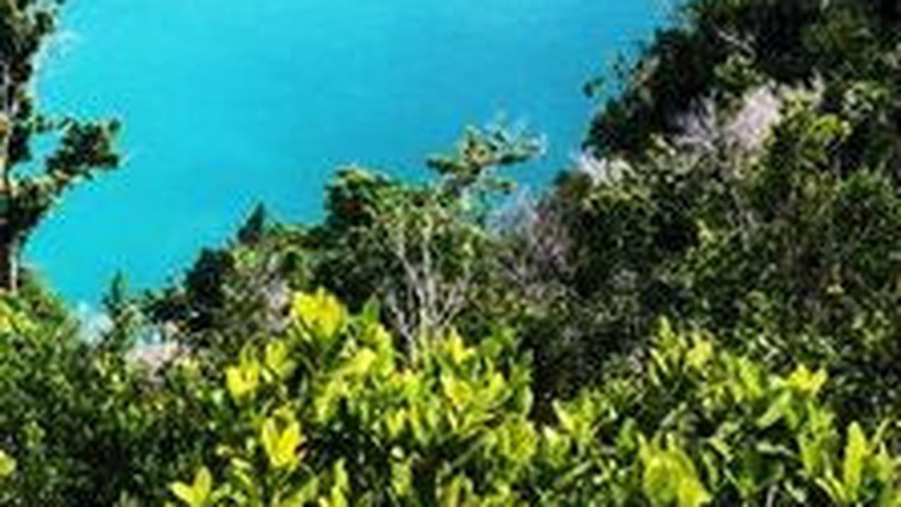 50 Kata Kata Pantai Paling Keren, Bikin Unggahan Foto Sosial Media Makin Kece